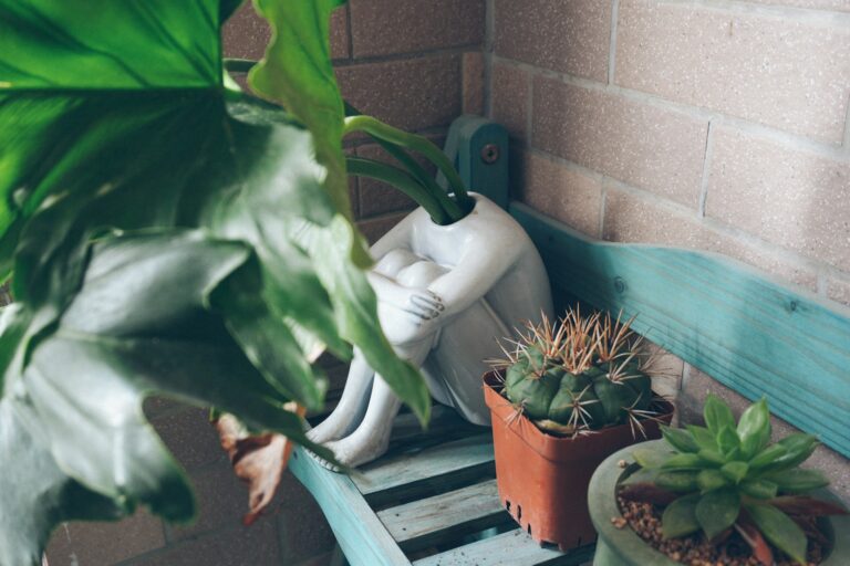 Humidifier near houseplants