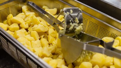 Early potatoes in small spaces: how to raise a tasty crop in tubs and tight beds