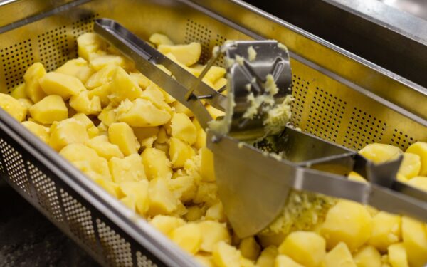 Early potatoes in small spaces: how to raise a tasty crop in tubs and tight beds