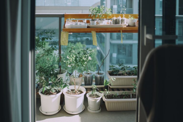 Potted herbs balcony