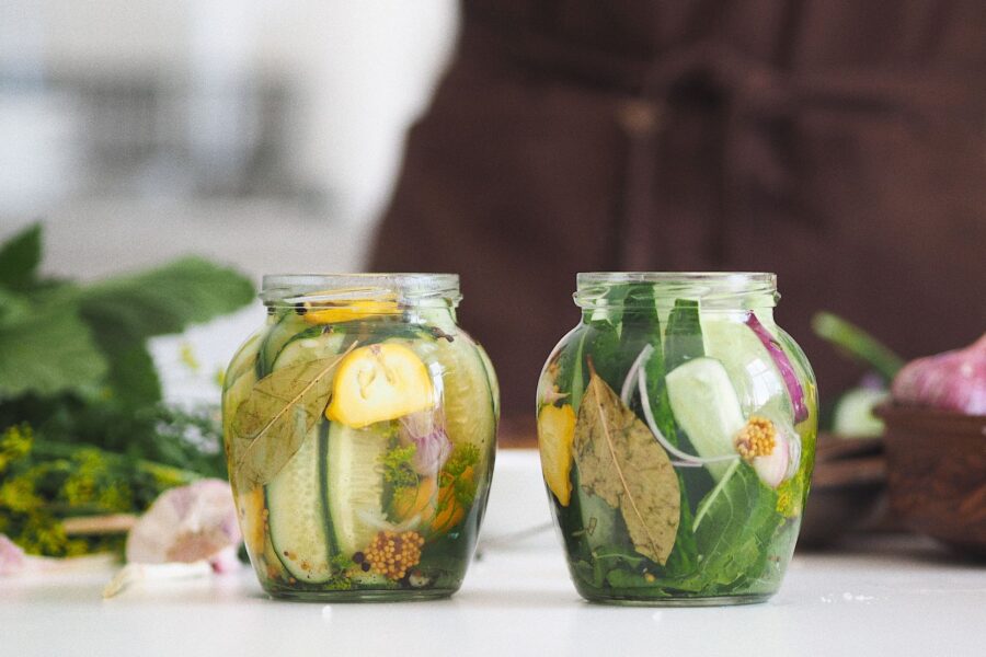 Homemade natural fertilizer