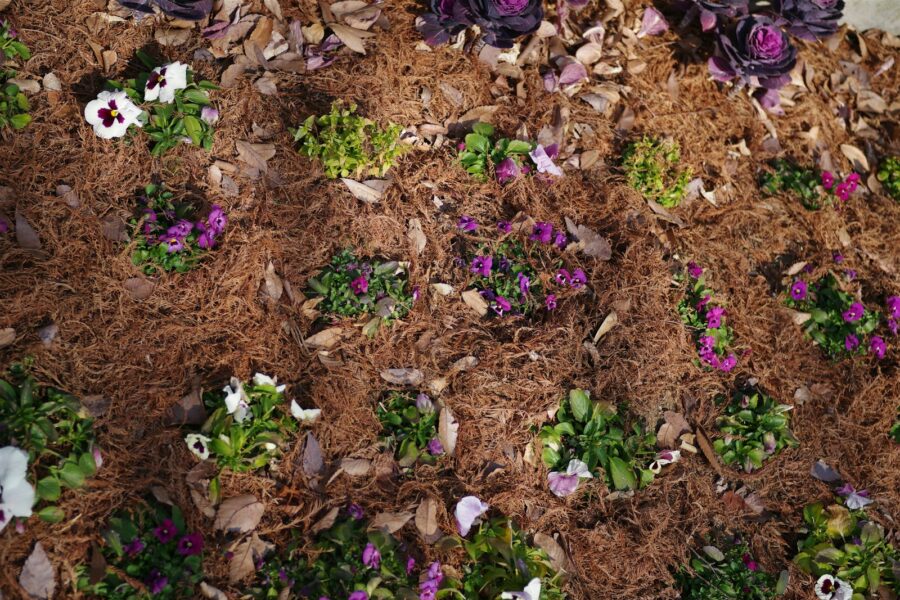 Mulched flower bed
