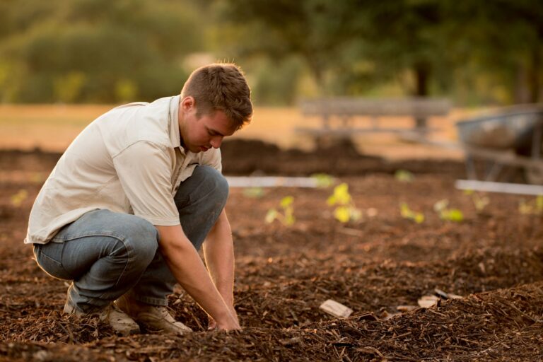 Mulched garden bed close gardener checking soil moisture