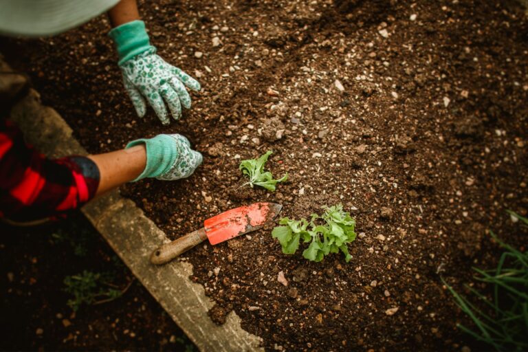 Home flower bed weekly maintenance gloves trowel