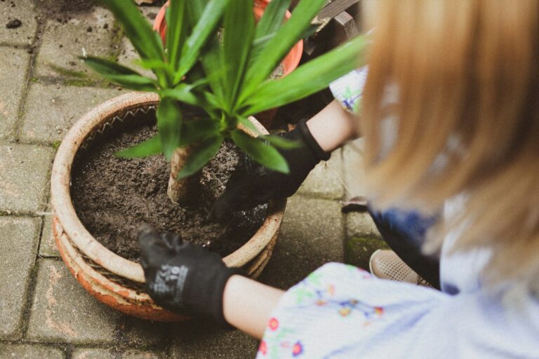 Hand checking soil moisture patio pot