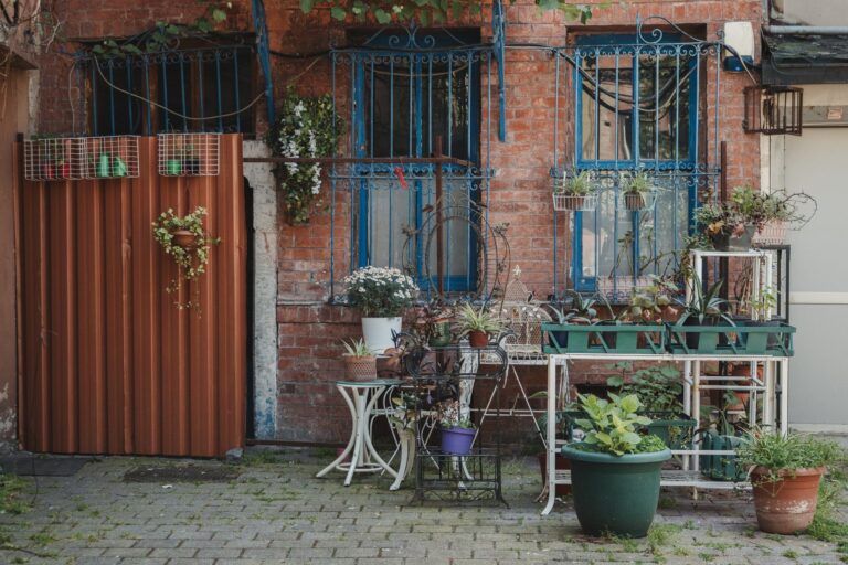 Small evergreen courtyard