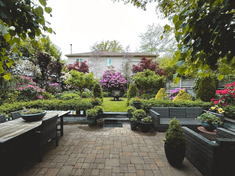 Balcony pots dwarf conifers mixed evergreen hedge backyard