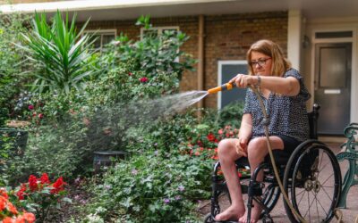 Everyday watering tips that help your plants cope with heat and dry spells