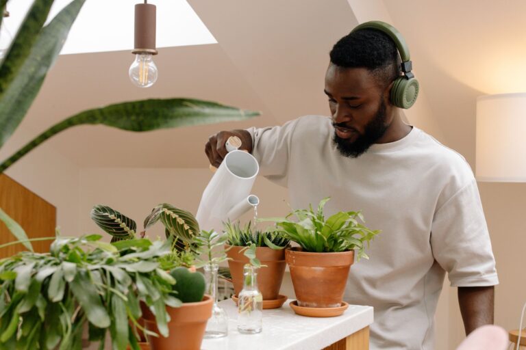 Indoor houseplants fertilizer