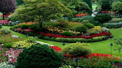 Garden zoning ideas that give every part of your plot a clear purpose