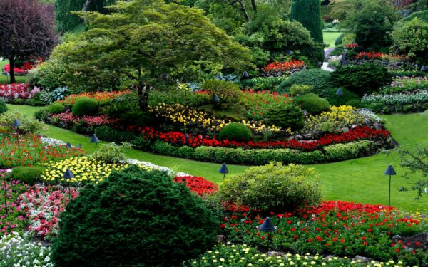 Garden zoning ideas that give every part of your plot a clear purpose