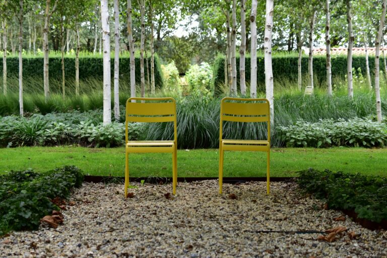 Ornamental grasses garden