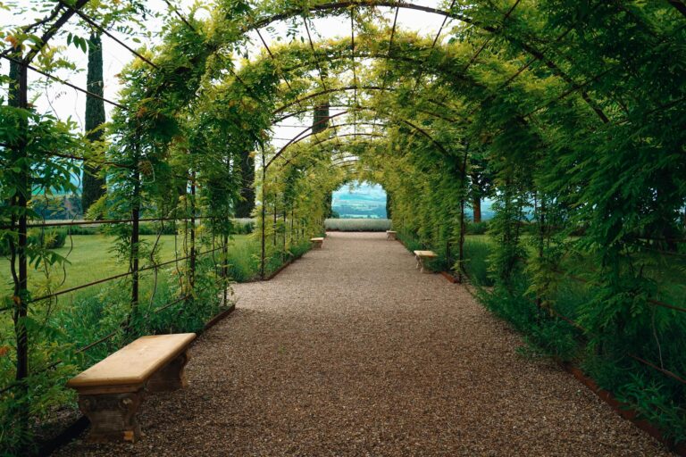 Garden seating area