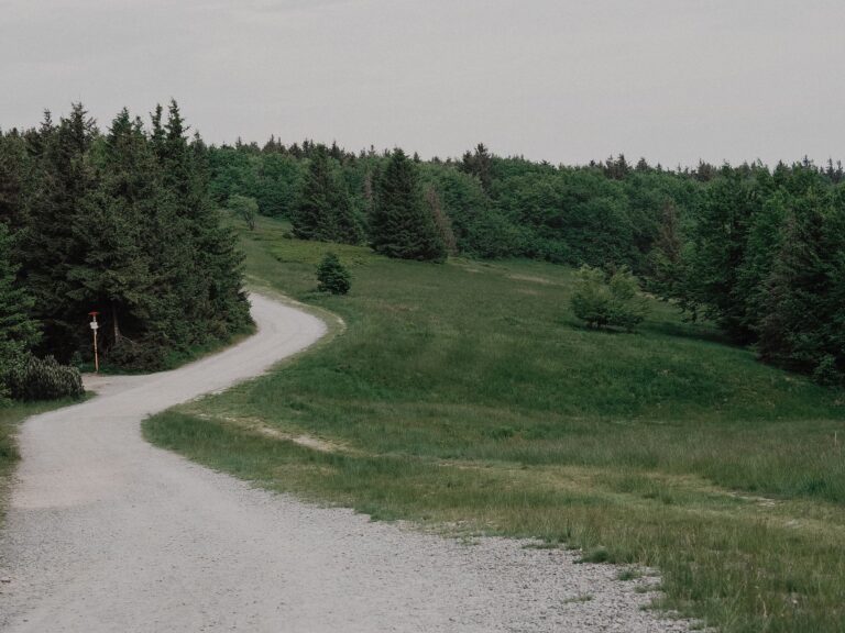 Gravel path metal