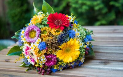 Growing fragrant cut flowers for the vase: a beginner’s guide from seed to bouquet