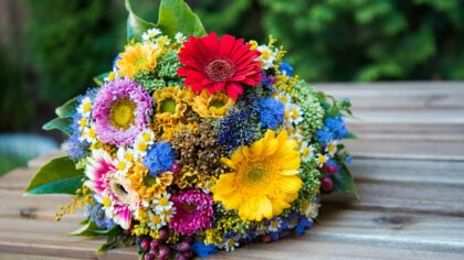 Growing fragrant cut flowers for the vase: a beginner’s guide from seed to bouquet