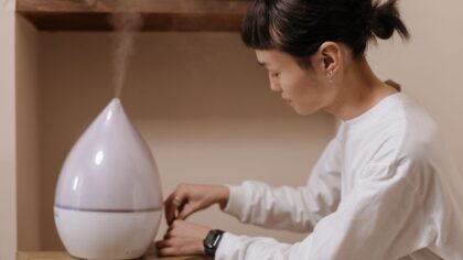 Houseplant humidity at home: practical ways to hit the sweet spot