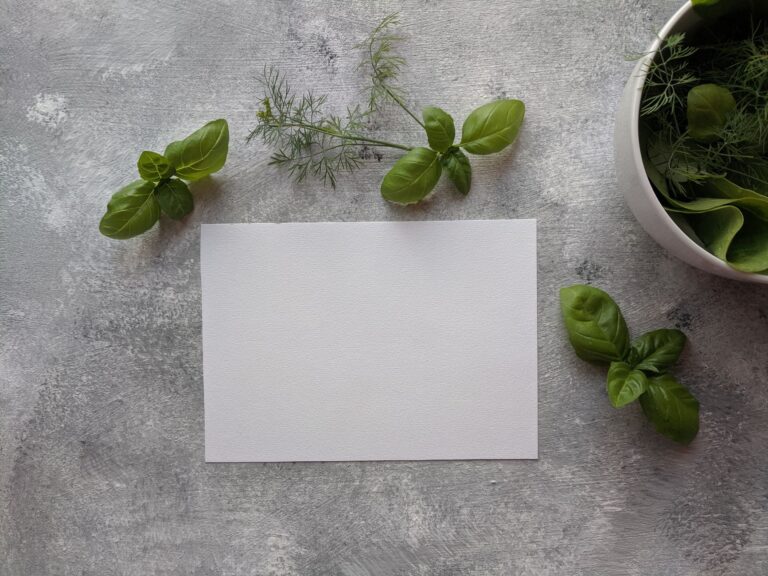 Fresh basil leaves