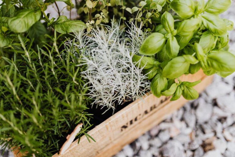 Balcony herb pots