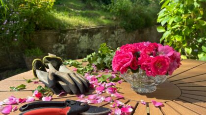 How to deadhead garden flowers so they bloom for longer