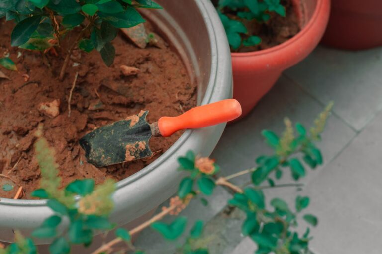 Container garden potting