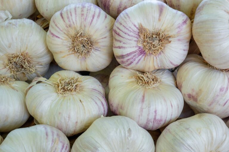 Garlic cloves being