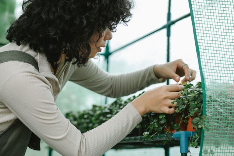 Indoor gardener inspecting