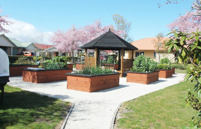 Kitchen garden raised