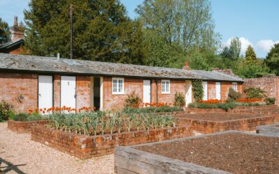 How to plan a kitchen garden that actually fits your life and space