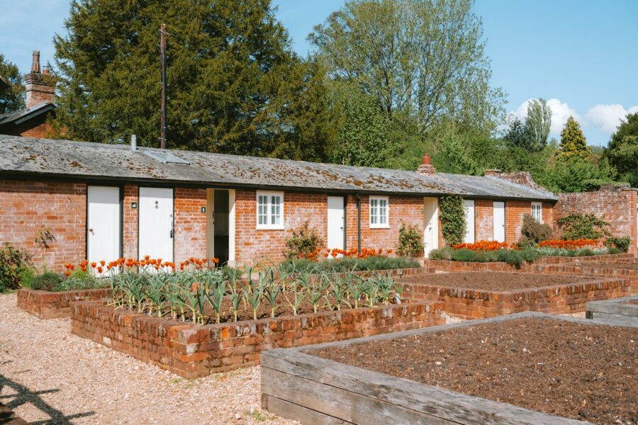 Kitchen garden raised