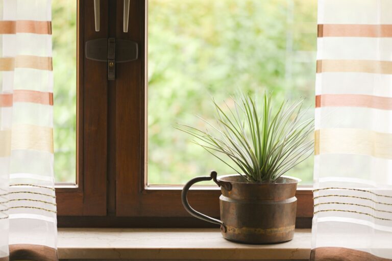 Houseplant window sill
