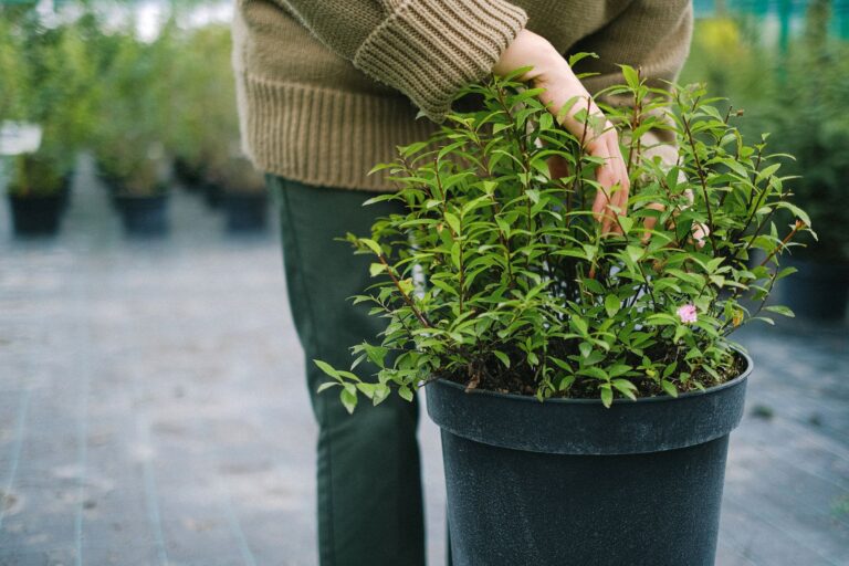 Hand checking soil