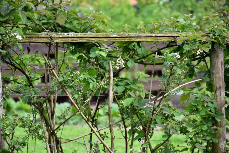 Wooden trellis pole