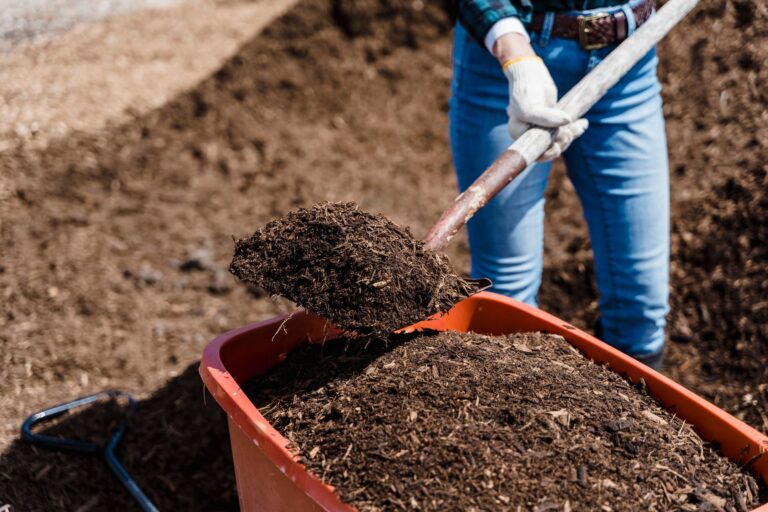 Raised bed soil