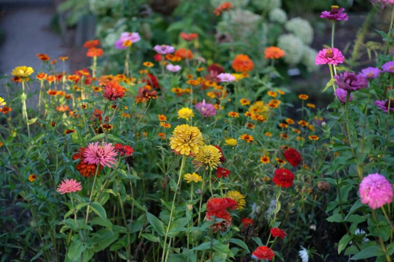 Mixed vegetable flower