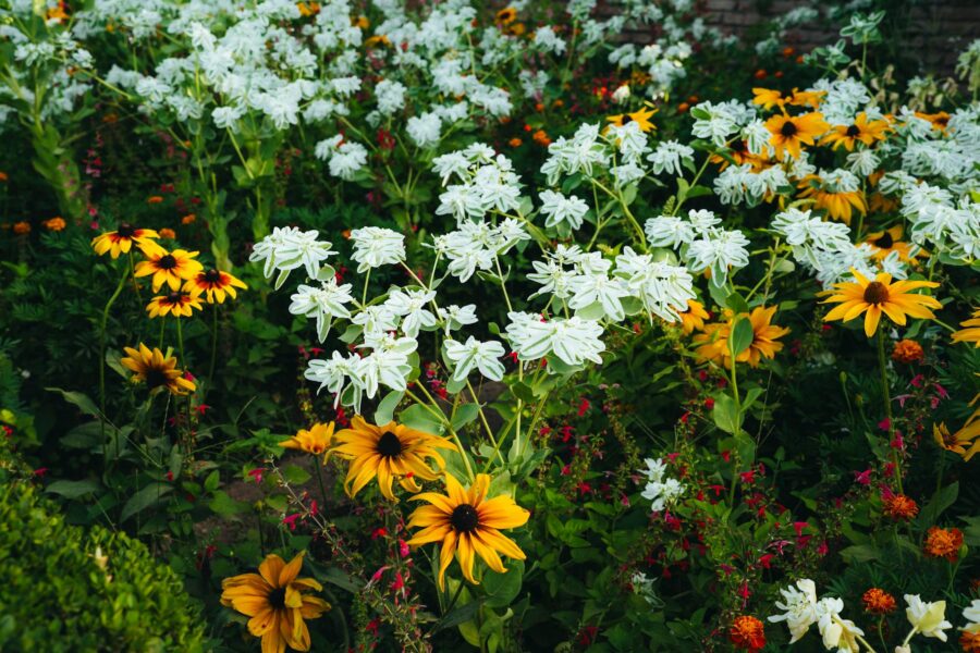 Mixed vegetable flower