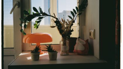 Indoor plant temperature needs: how to keep your greenery comfortable all year