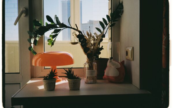 Indoor plant temperature needs: how to keep your greenery comfortable all year
