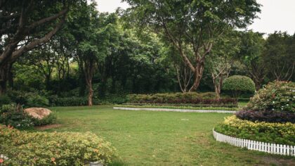 Informal garden layout ideas that feel natural but still look designed