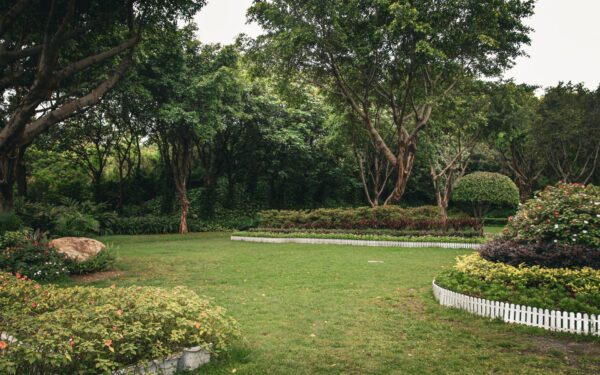 Informal garden layout ideas that feel natural but still look designed
