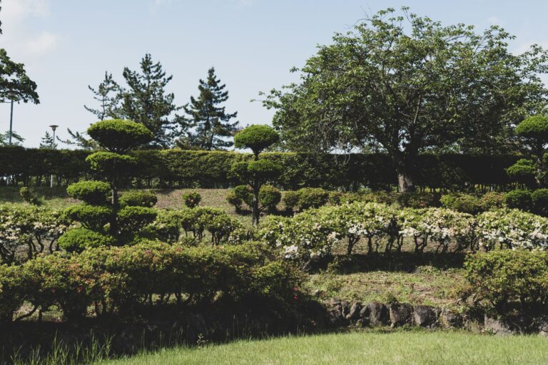 Informal garden curved