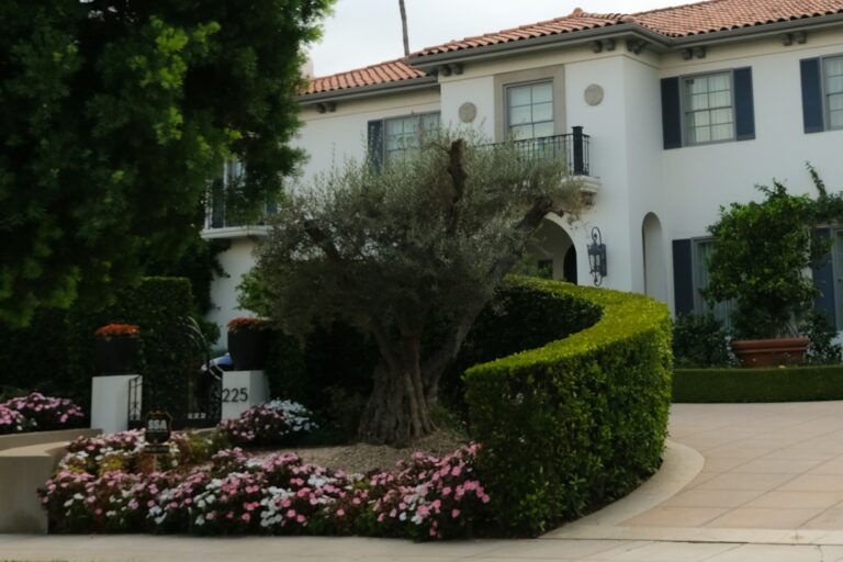 Front garden driveway