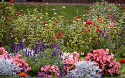 Layered flower and vegetable beds for a colourful and edible garden
