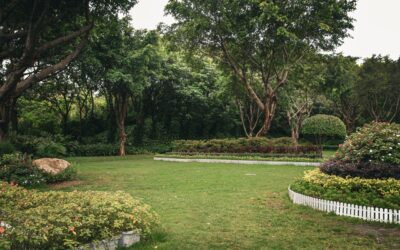 Layered flower bed edging ideas that give your garden a polished frame
