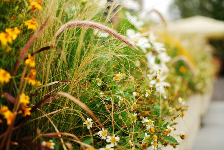 Layered flower bed