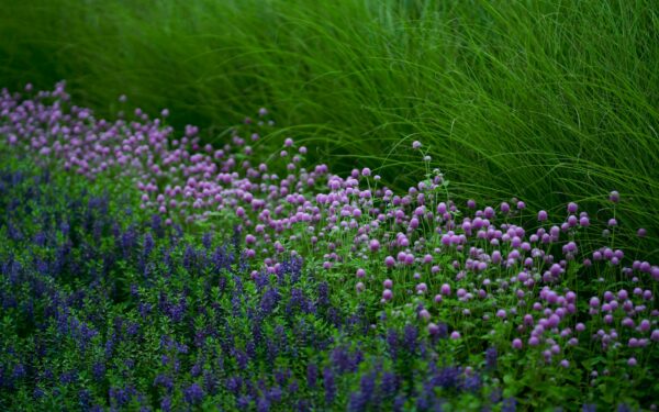 Layered flower beds that add depth and colour to any garden