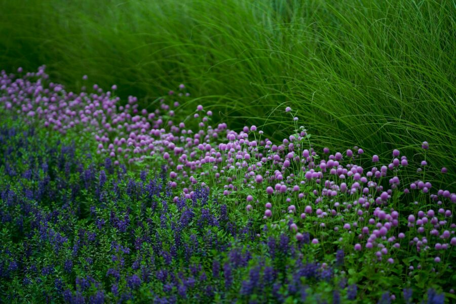 Layered flower bed