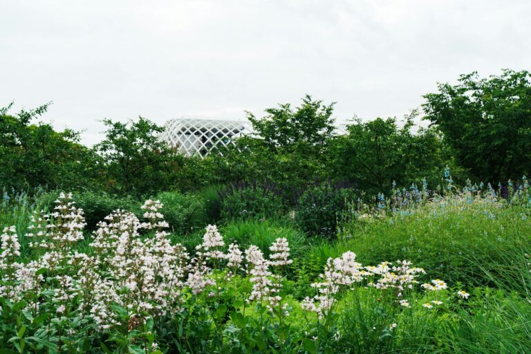 Perennial flower border