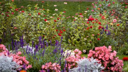 Layered flower borders that look good from spring to frost