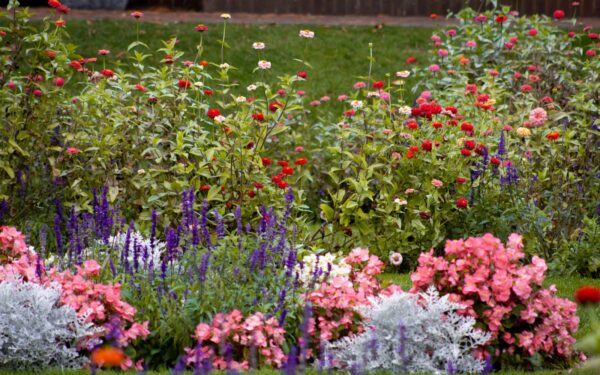 Layered flower borders that look good from spring to frost